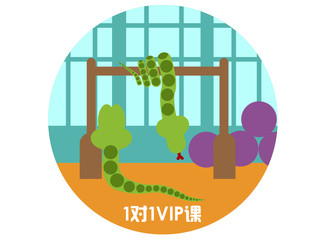 VIP体能训练 体能课程