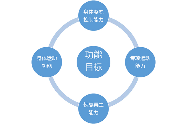 身体运动功能训练体系 体能训练课程